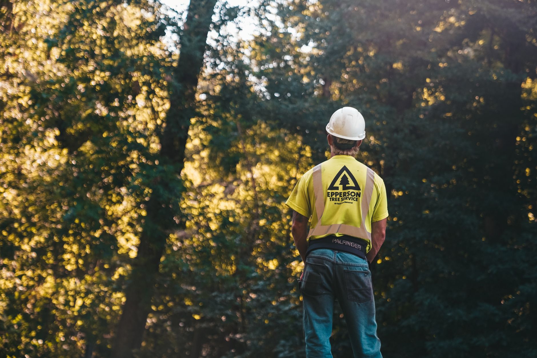 Cleanup & Hauling — Suarez Tree Service